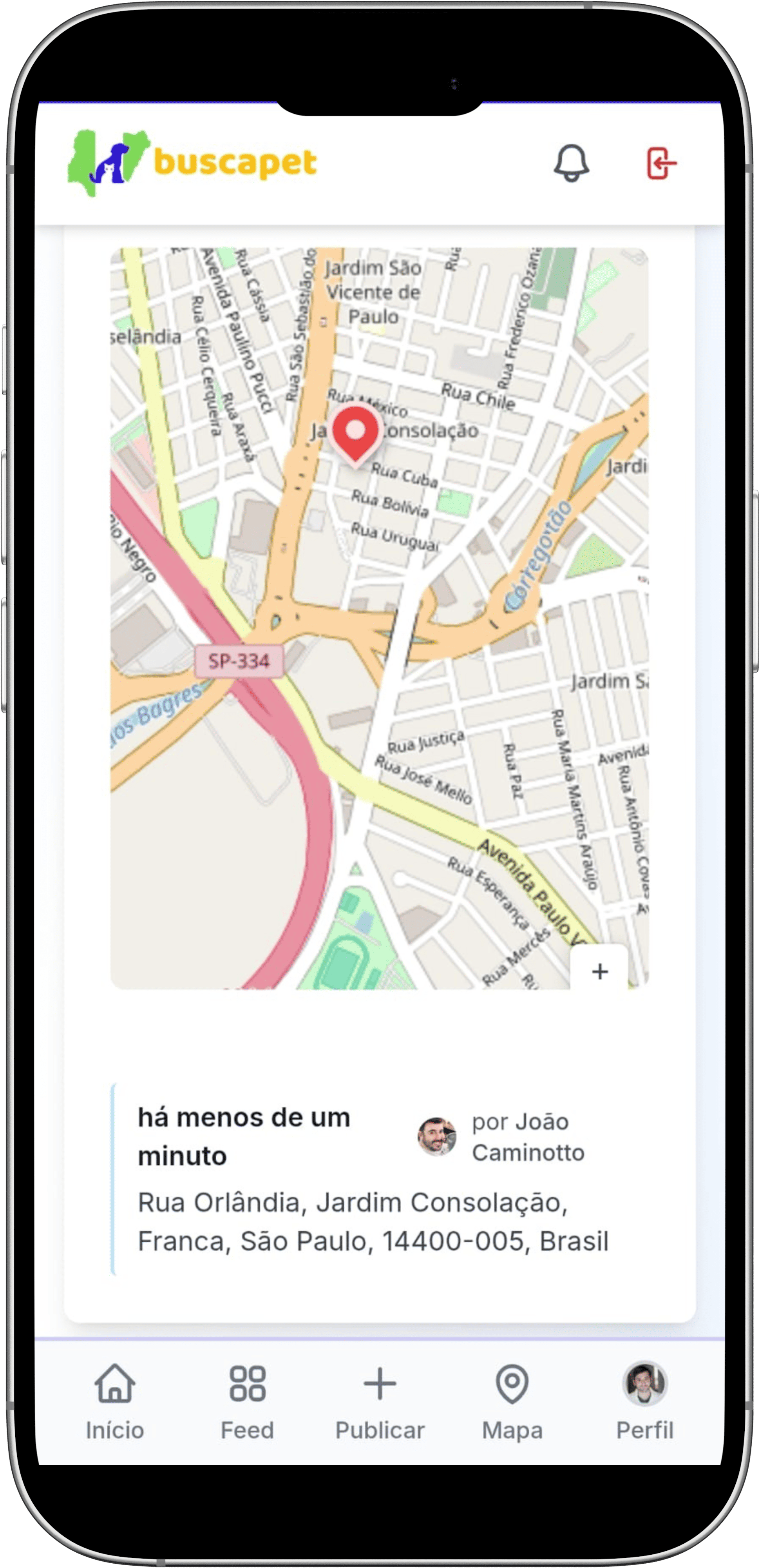 Avistamento de pet perdido