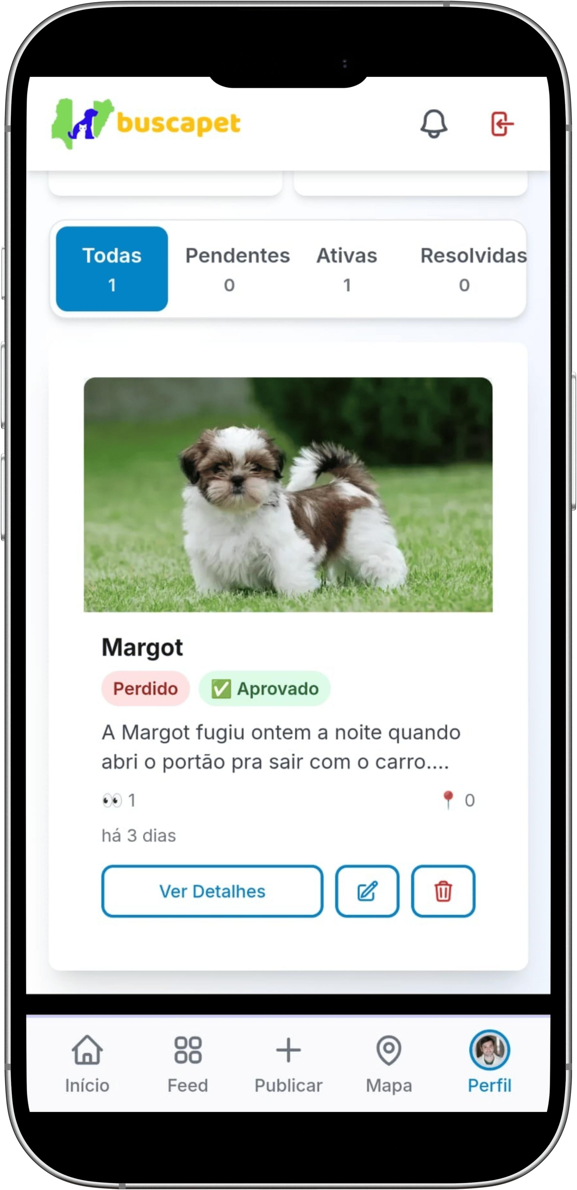 Perfil - Publicações